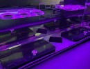2004, Hummer H2, SUV Limo, American Custom Coach 2004, Hummer H2, SUV Limo, American Custom Coach
