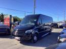 2019, Van Limo, Mercedes