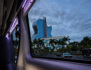 2022, Van Limo, Mercedes 2022, Van Limo, Mercedes