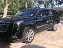 Used 2015 Cadillac Escalade ESV SUV Limo  - Lake Charles, Louisiana - $55,000