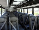 New 2019 Freightliner Mini Bus Shuttle / Tour Tiffany Coachworks - Riverside, California - $171,400