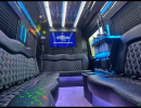 2022, Mercedes-Benz Sprinter, Van Limo, Platinum Coach 2022, Mercedes-Benz Sprinter, Van Limo, Platinum Coach