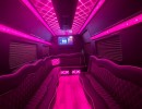 New 2024 Mercedes-Benz Sprinter Van Limo  - Valley center, California - $119,000