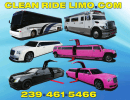 Used 1999 MCI J4500 Motorcoach Limo  - Alva, Florida - $225,000